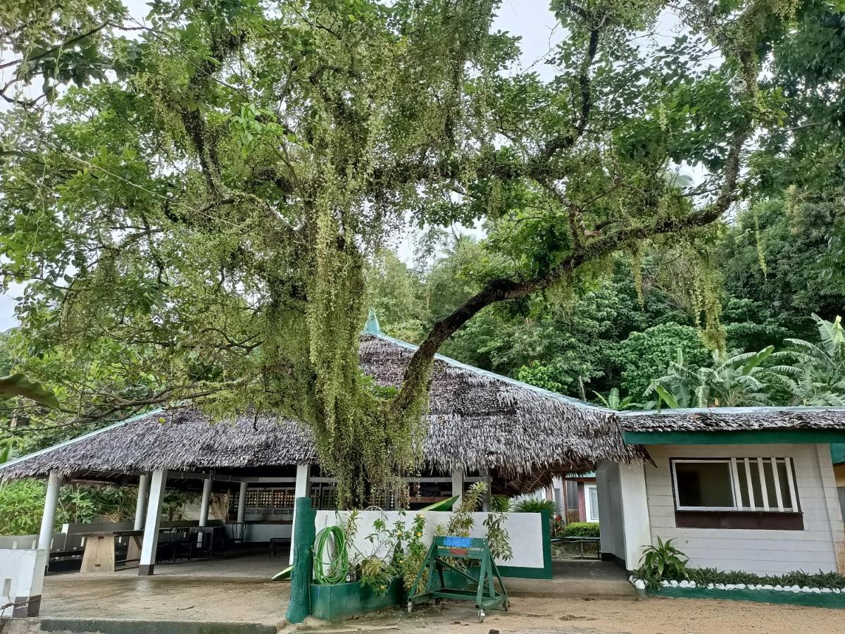Agta Beach Resort Biliran المظهر الخارجي الصورة