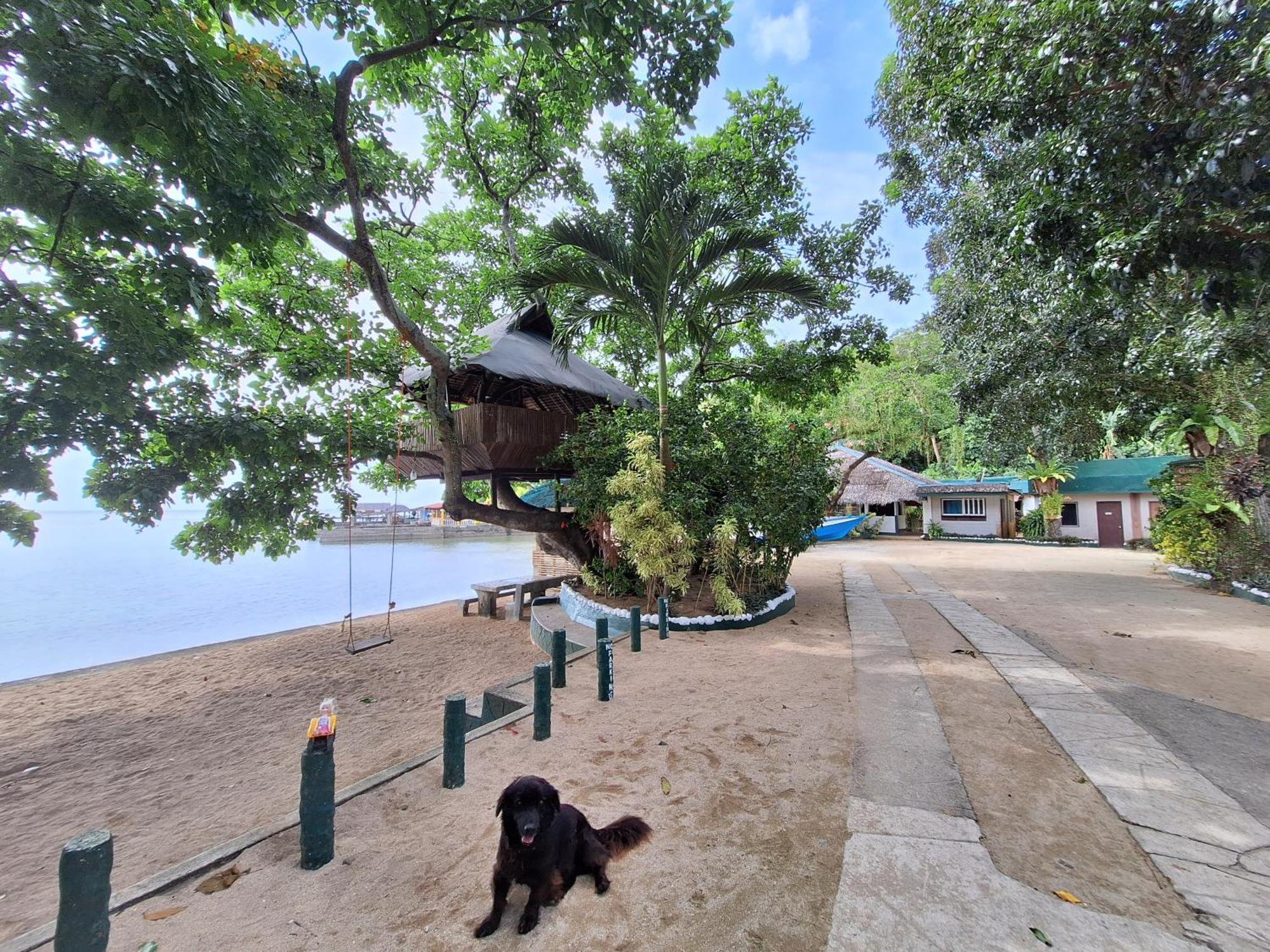 Agta Beach Resort Biliran المظهر الخارجي الصورة